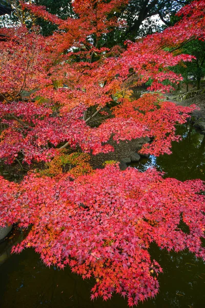 Landschaft Des Japanischen Gartens Herbst Nara Kansai Japan Nara Ist — Stockfoto