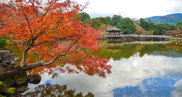 Beau Gazebo Bois Sur Lac Automne Nara Kansai Japon — Photo