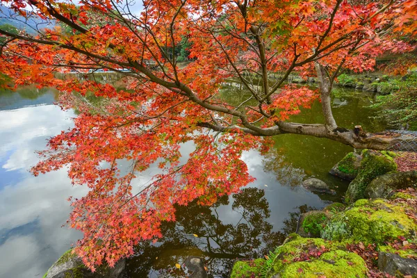 Paisaje Del Jardín Japonés Otoño Nara Kansai Japón Primera Capital — Foto de Stock