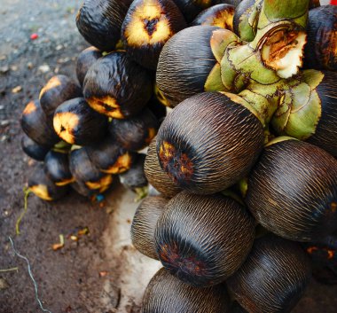 Borassus Flabellifer (palm) meyve Mekong Delta, Güney Vietnam kırsal pazarda satışa.