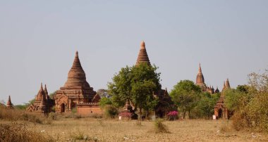 Budist tapınakları Bagan, Myanmar güneşli bir günde, manzara. Bagan Mandalay güneybatısında bir antik kent merkezi Myanmar (eski adıyla Burma) olduğunu.