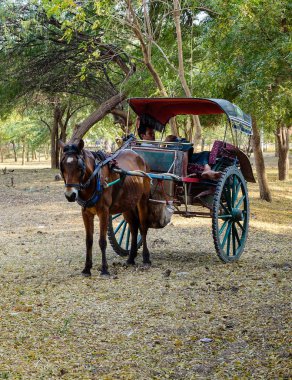 Bagan, Myanmar - 18 Şubat 2016. At arabası Bagan, Myanmar kırsal yolda turistler için bekliyor. Bagan Mandalay güneybatısında bir antik kent merkezi Myanmar (eski adıyla Burma) olduğunu.