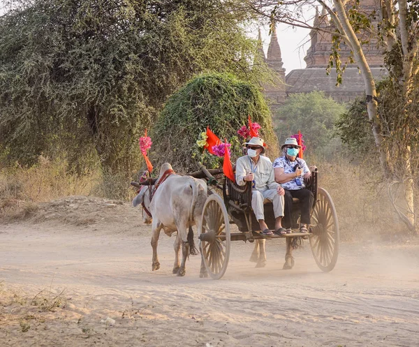Bagan Myanmar Februar 2016 Ein Ochsenkarren Bringt Touristen Auf Staubigen — Stockfoto
