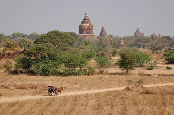 Koně Vozík Venkovské Silnici Mnoha Buddhistických Chrámů Bagan Myanmar Bagan — Stock fotografie
