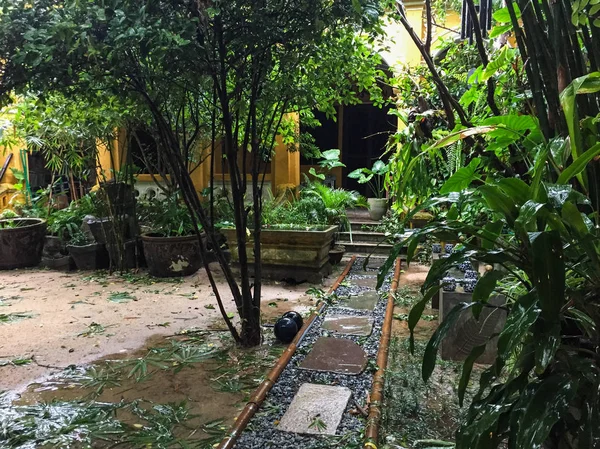 Wiejski dom z zielonym ogrodem w deszczowe dni — Zdjęcie stockowe