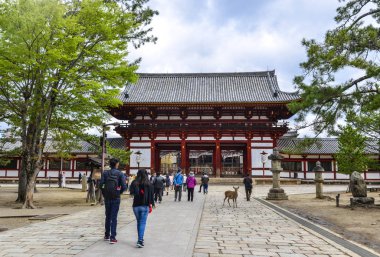 Todaiji Tapınağı nara, Japonya