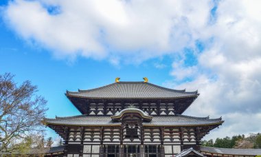 Todaiji Tapınağı nara, Japonya