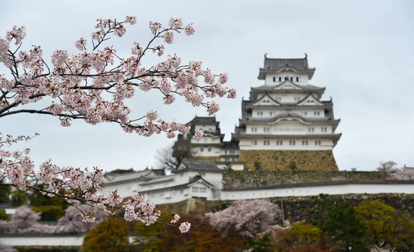 Castillo de Himeji (Japón) con flor de cerezo — Foto de Stock