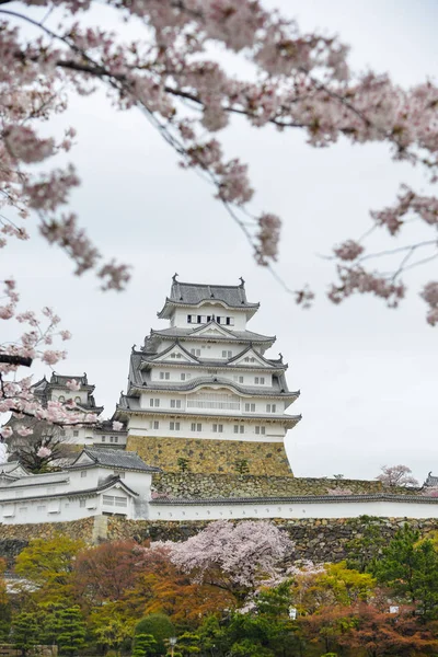 Castillo de Himeji (Japón) con flor de cerezo — Foto de Stock