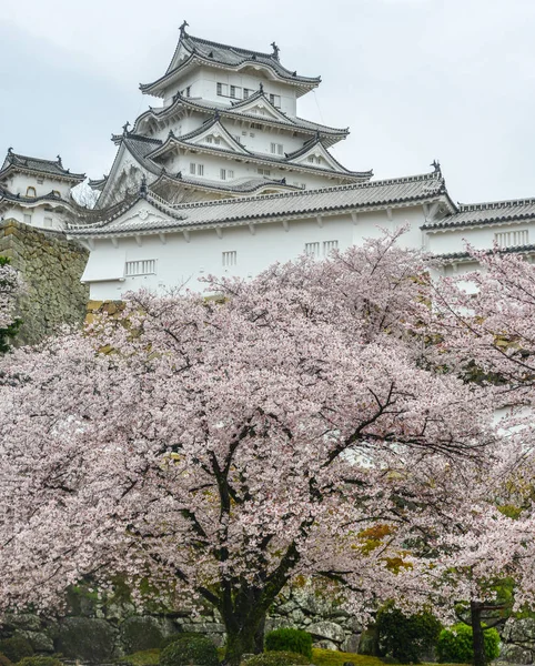 Castillo de Himeji (Japón) con flor de cerezo — Foto de Stock