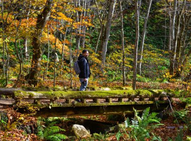 Asyalı adam sonbahar ormanının tadını çıkarıyor 