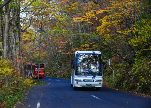 Podzimní scenérie Oirase Gorge, Japonsko — Stock fotografie