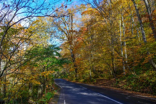 Paesaggio autunnale di Oirase Gorge, Giappone — Foto Stock