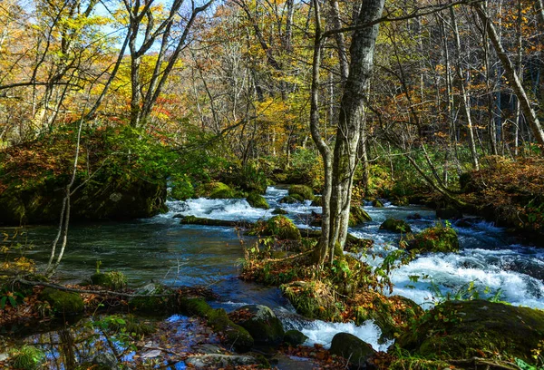 Oirase Stream za slunečného dne, krásné podzimní listí — Stock fotografie