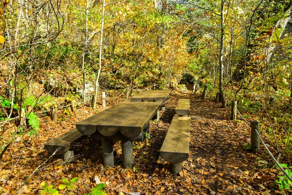 Autumn scenery of Oirase Gorge, Japan — Stock Photo, Image