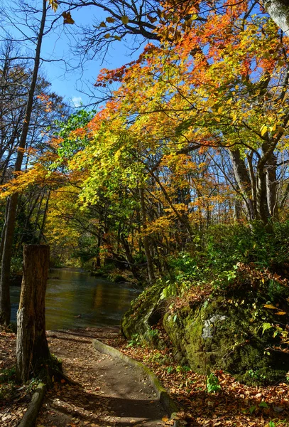 Herfst landschap van Oirase Gorge, Japan — Stockfoto