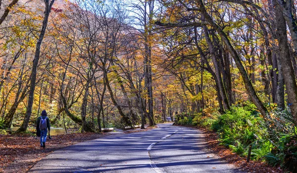 Herfst landschap van Oirase Gorge, Japan — Stockfoto