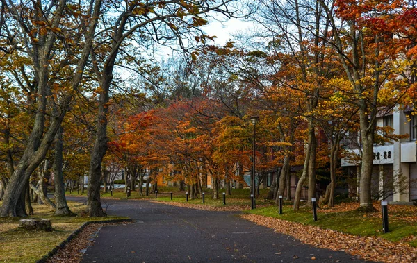 Herbstliche landschaft der oirase schlucht, japan — Stockfoto