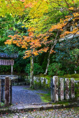 Sonbahar sahne Kyoto, Japonya 