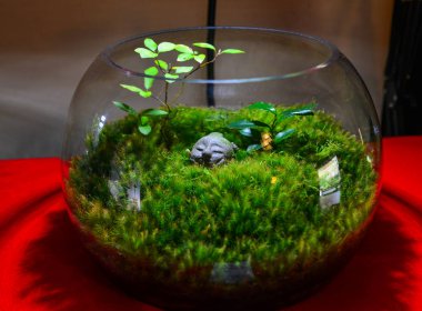 Gülen Jizo 'nun taş heykeli (Jizo Bosatsu)