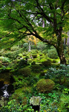 Kyoto, Japonya 'da antik zen bahçesi 
