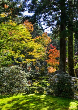 Sonbahar sahne Kyoto, Japonya 