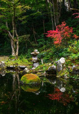 Sonbahar sahne Kyoto, Japonya 
