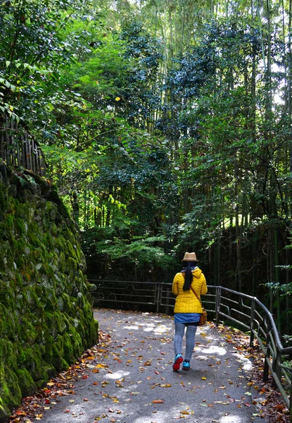 Weg in het bos op herfstdag — Stockfoto