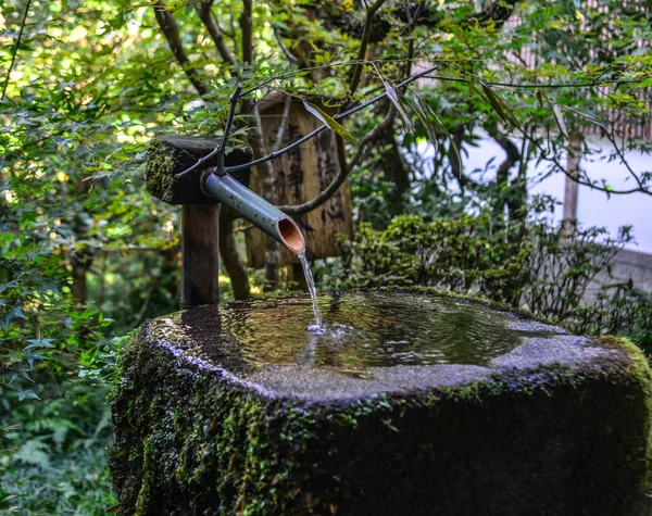 Bebedero Tradicional Madera Los Bebederos Para Los Animales Los Seres