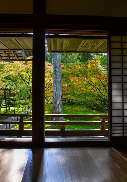 庭に紅葉の紅葉 — ストック写真