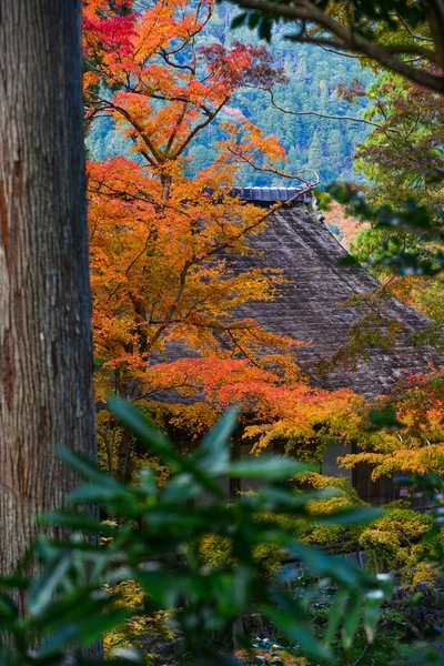 Autumn scenery in Kyoto, Japan — Stock Photo, Image