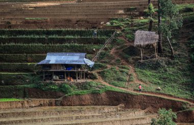 Kuzeybatı Vietnam 'da teraslı pirinç tarlası 
