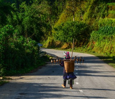 Sapa Dağı Yolu, Vietnam 