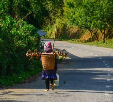 Sapa Dağı Yolu, Vietnam 