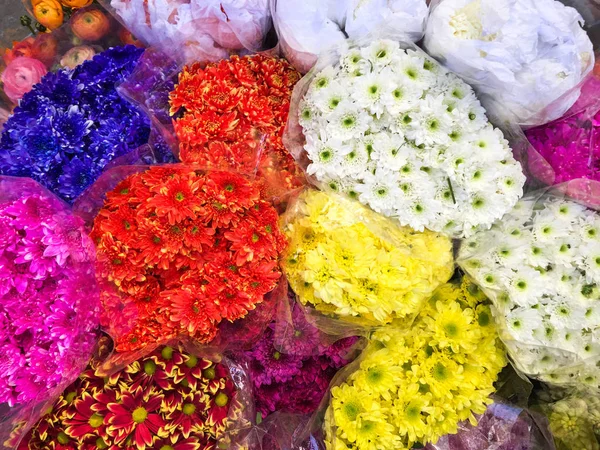 Flores coloridas en primavera —  Fotos de Stock