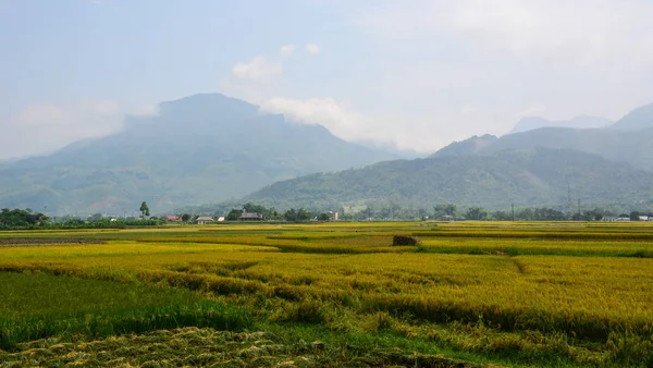 Campo di riso a terrazze nel Vietnam nord-occidentale — Foto Stock