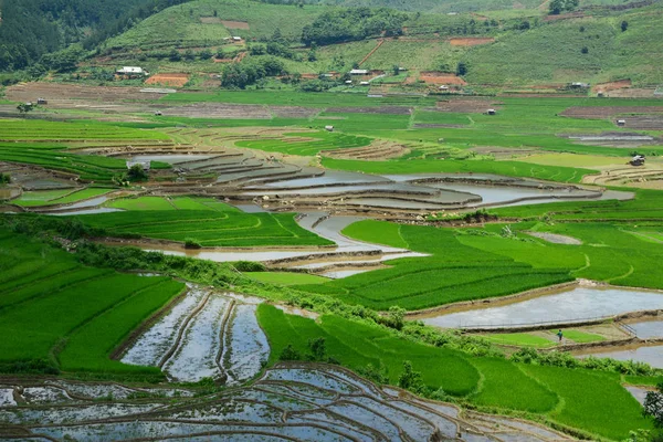 Rizière en terrasses dans le nord-ouest du Vietnam — Photo