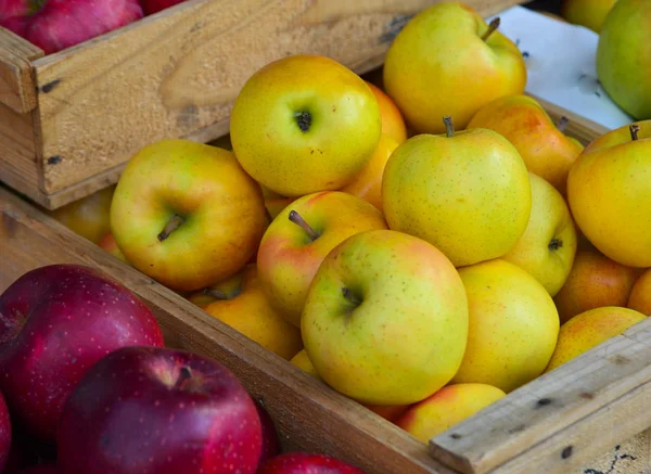 Frisches Apfelobst zum Verkauf auf dem Wochenmarkt — Stockfoto