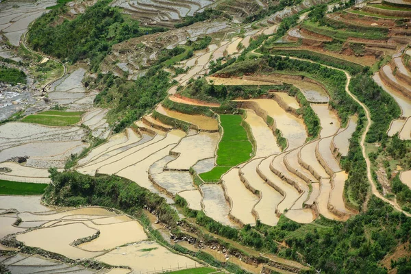 Campo de arroz com terraço no noroeste do Vietnã — Fotografia de Stock
