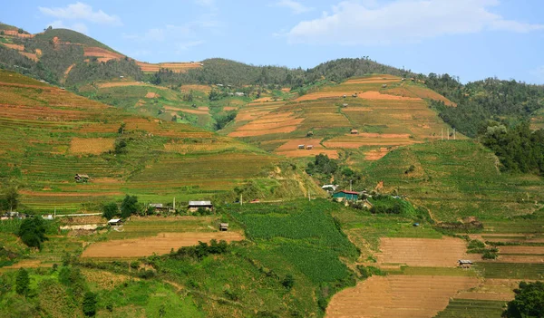 Rizière en terrasses dans le nord-ouest du Vietnam — Photo