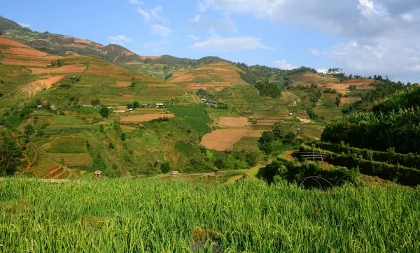 Terrasserat risfält i nordvästra Vietnam — Stockfoto