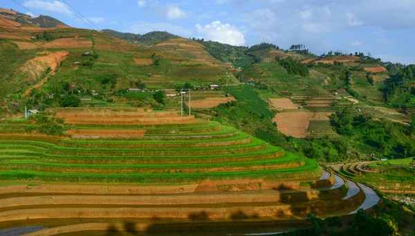 Campo di riso a terrazze nel Vietnam nord-occidentale — Foto Stock
