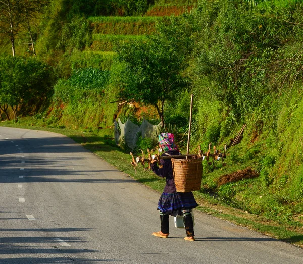 Estrada de montanha de Sapa, Vietnã — Fotografia de Stock