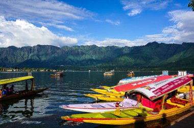 Srinagar Dal Gölü Manzarası, Hindistan
