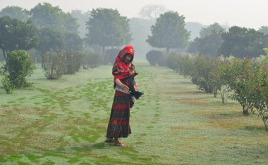 Green Park 'ta geleneksel sari giyen bir kadın. 