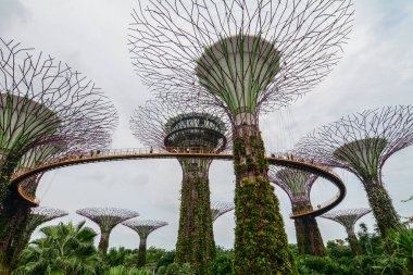 Singapur, Marina Körfezi 'ndeki Supertree Grove.
