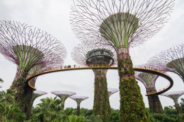 Singapur, Marina Körfezi 'ndeki Supertree Grove.