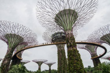 Singapur, Marina Körfezi 'ndeki Supertree Grove.