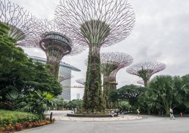 Singapur, Marina Körfezi 'ndeki Supertree Grove.