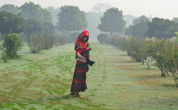 Женщина в традиционном сари в зеленом парке — стоковое фото